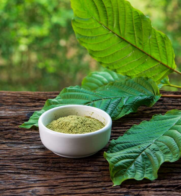 mitragyna speciosa (kratom) leaf extracts (1)